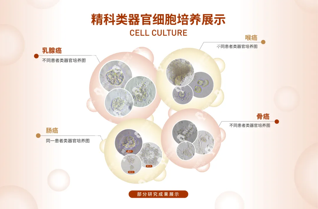 1633679862794515.png image.png