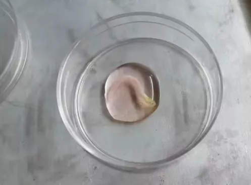 1633680268547920.png image.png