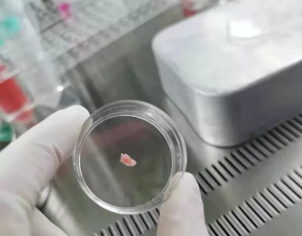 1633680325248358.png image.png