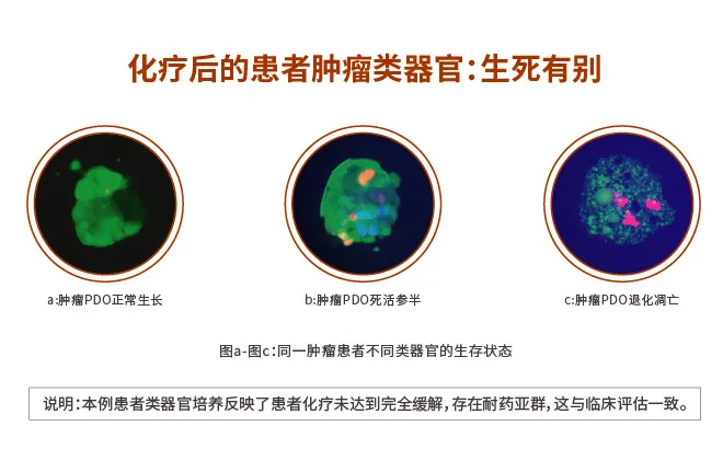 1633683006582246.png image.png