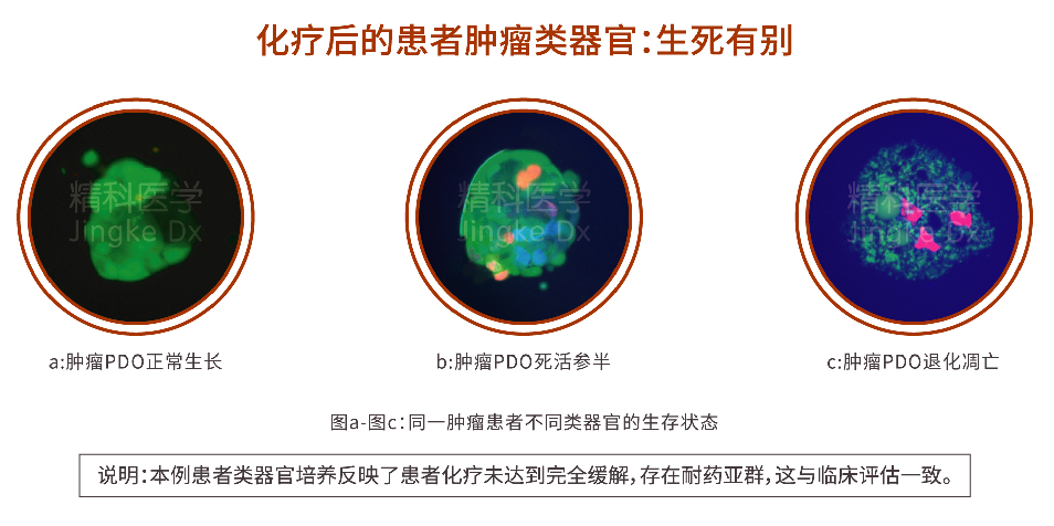 1639021006458776.png image.png