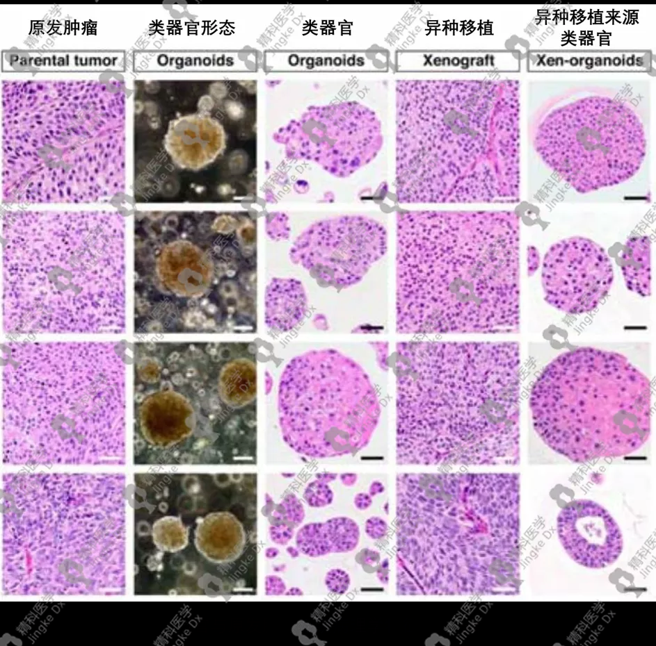 1639031603225481.png image.png