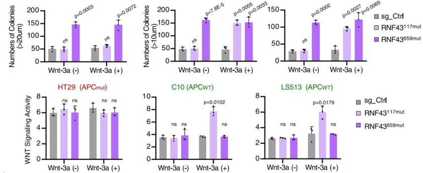 1660271717323685.png image.png