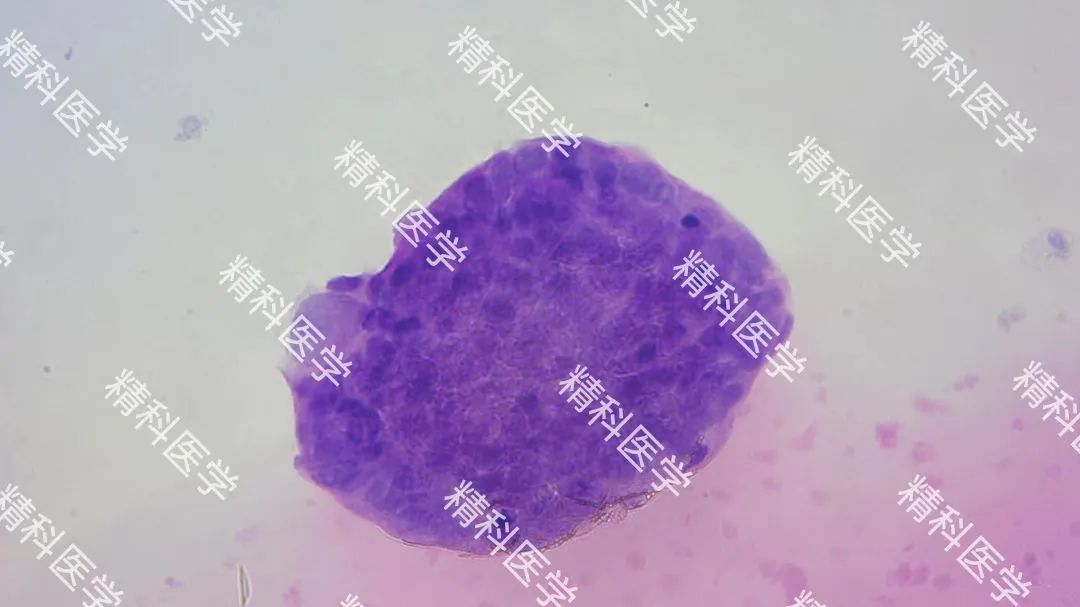 1660271853155600.png image.png