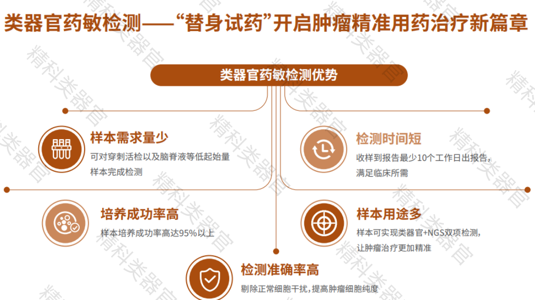 1737712349700426.png image.png